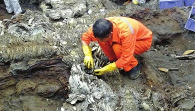 东海发现英国沉船我国水下考古队成功打捞使珍贵文物重见天日