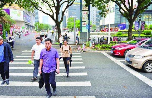 继礼让行人之后，又一新规让驾驶员发愁，老司机：规矩越来越多