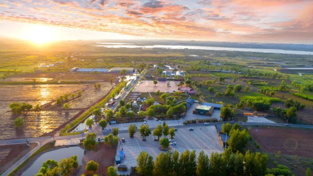 满眼绿意,生机盎然乌兰木伦镇哈沙图村光亚"云上农场"