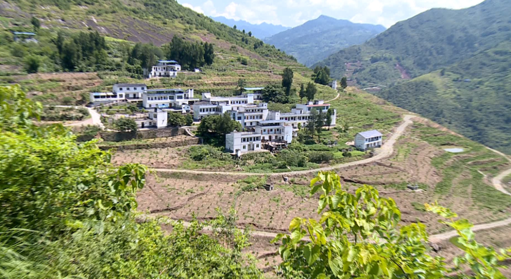 我为群众办实事|红狮镇:推进新型城镇化建设,打造生态公园宜居镇