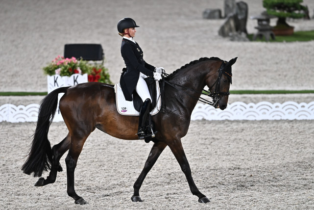 (东京奥运会)马术——盛装舞步赛况|德国选手|朱峥|东京奥运会|马术
