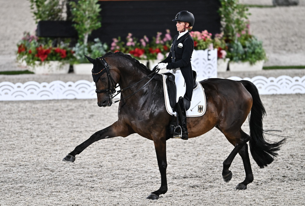 东京奥运会马术盛装舞步赛况