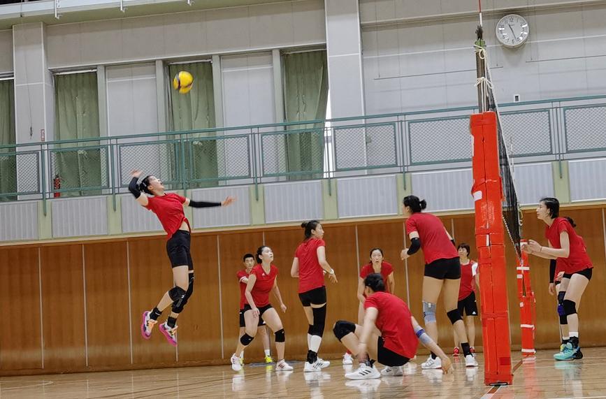 中国女排7大主力 围在郎平身边 死亡之组25日打响 Cctv5直播 全网搜