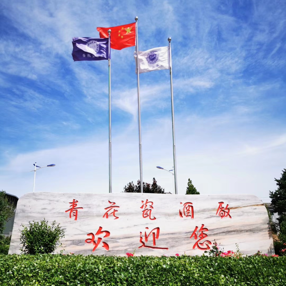 青花瓷酒业集团是一家以青花瓷品牌白酒生产销售为主,集进口红酒贸易