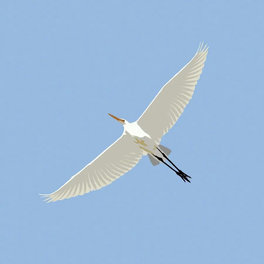 微信头像大全治愈系头像