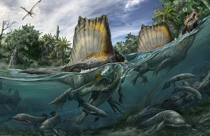 棘龙从单杀霸王龙的战神到职业渔夫