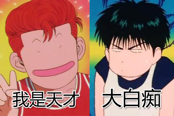 每当樱木花道自夸自己是天才时,流川枫都会冷冷地来一句"大白痴",十分