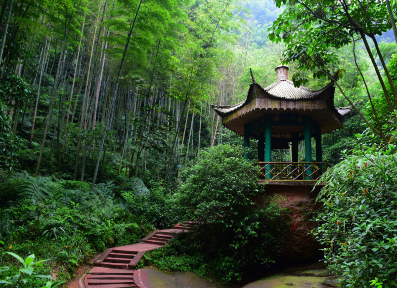 位于四川省内的竹海,是国家4a级风景区,占地面积有120平方公里