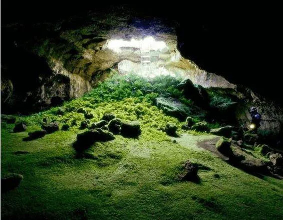 宁过鬼门关,不下神堂湾,这里到底有什么神秘之处?