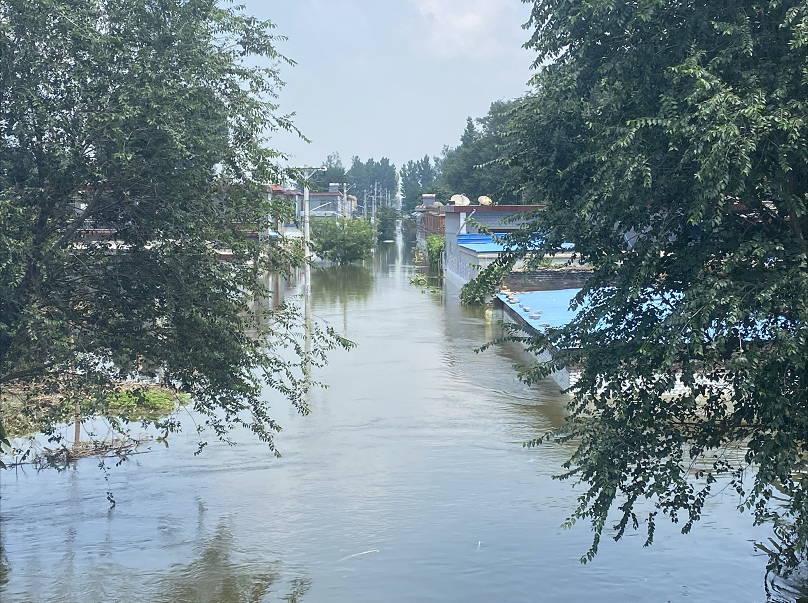 卫辉市顿坊店乡黄庄:大水已经冲进村庄,正在过境