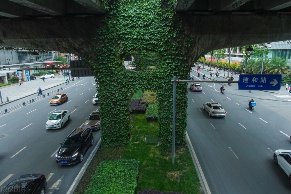 成都二环路火了!4000桥墩爬满爬山虎,像绿野仙踪,会破坏桥墩吗?