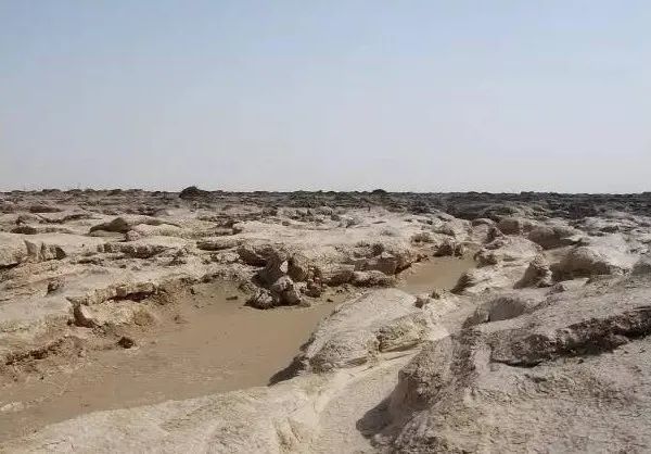 揭秘中國死亡地帶羅布泊詭異事件,神秘古墓驚現4000年木乃伊,近代人員