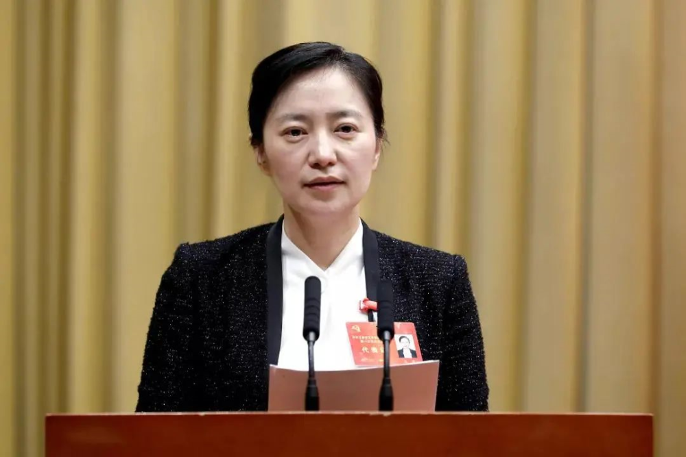 最美董事长_时政|东莞美女董事长.任职半年被查