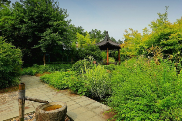 浙江境内的一座竹园走红,占地面积达600亩,都美竹看了都说好