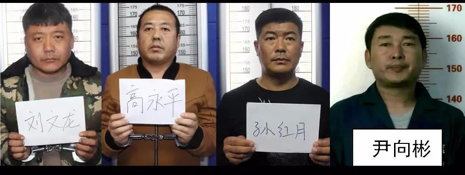 通辽丨绰号"四姥爷"张福生恶势力犯罪集团被提起公诉!