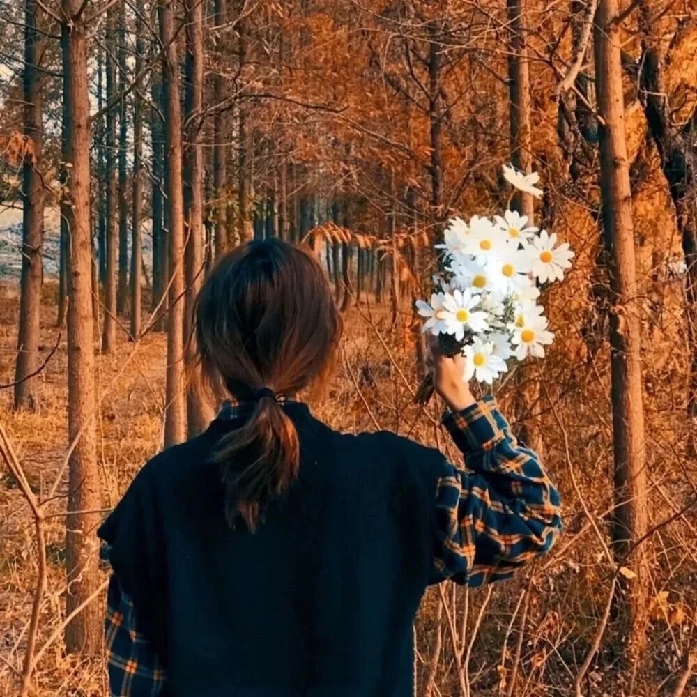 真人情头:想把你揉进二十四桥明月夜的温柔晚风里_腾讯新闻