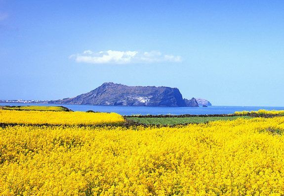 8月大吉大利4属相事业一路顺风生意兴隆美好日子到来