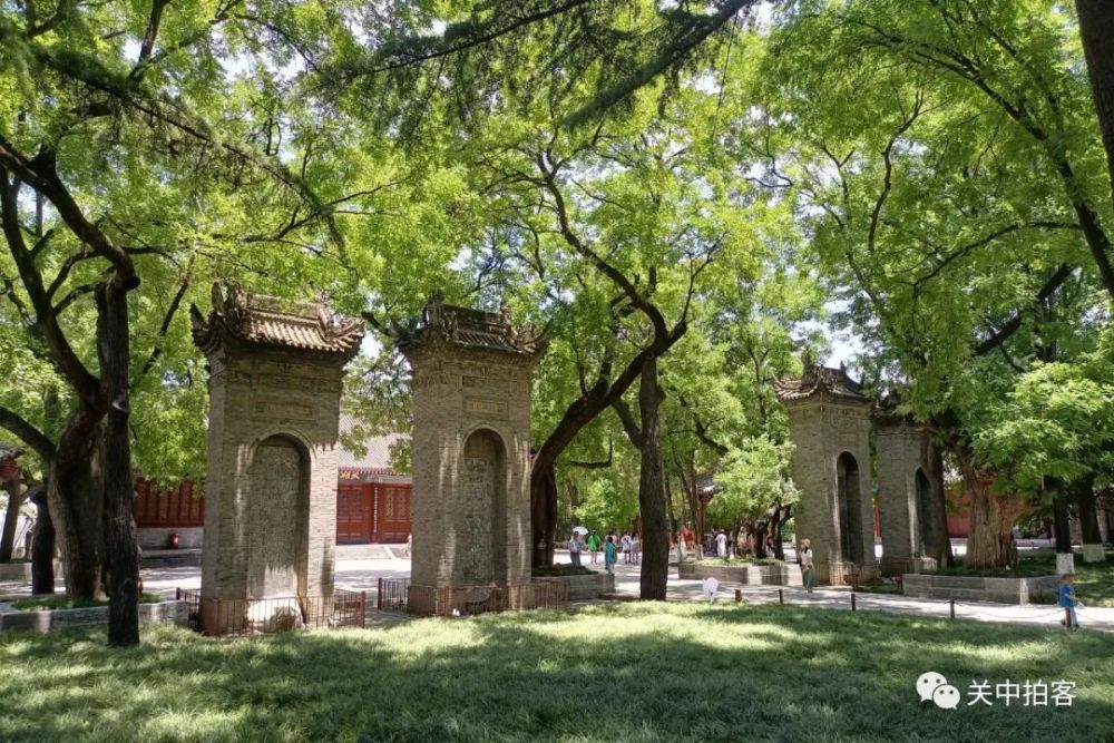 漫步荐福寺:欣赏古树和石碑,仰望唐代小雁塔