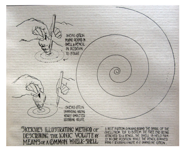 黄金螺旋 误解的起源 腾讯新闻