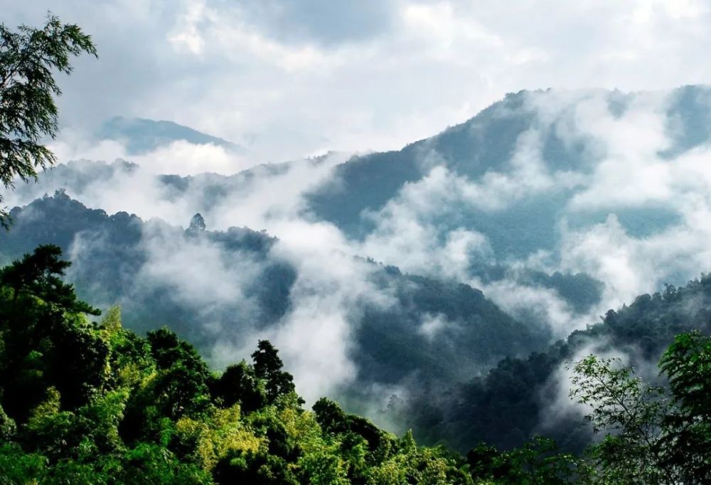 尋一個只有23℃的夏天?避暑就來崇義陽明山