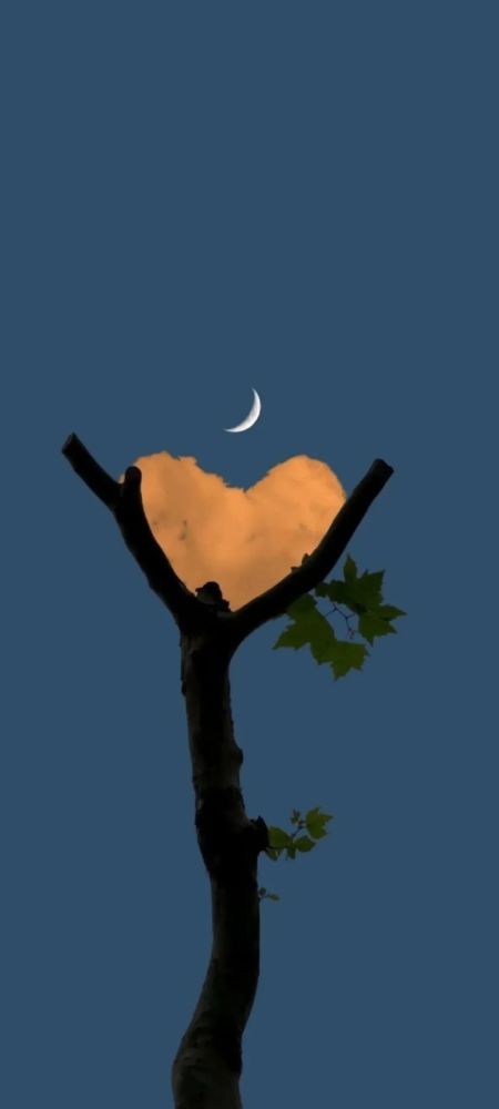 iphone壁纸苹果手机质感壁纸