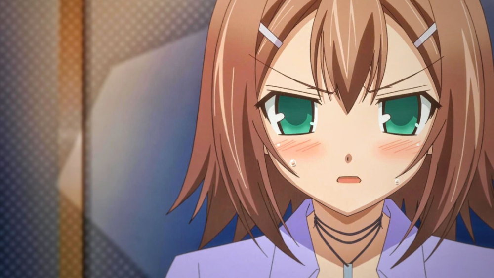 《笨蛋测验召唤兽》中登场的,与其双胞胎姐姐长相一模一样的木下秀吉