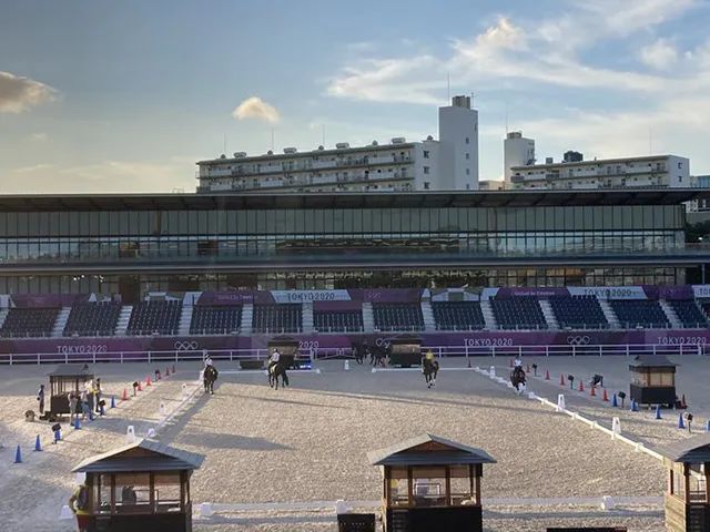 东京奥运马术比赛场地有何不同