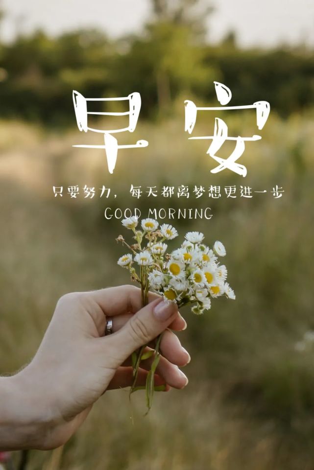 2021早秋送爽清晨早安问候语短句精选,早安漂亮美图祝福语 早安正能量