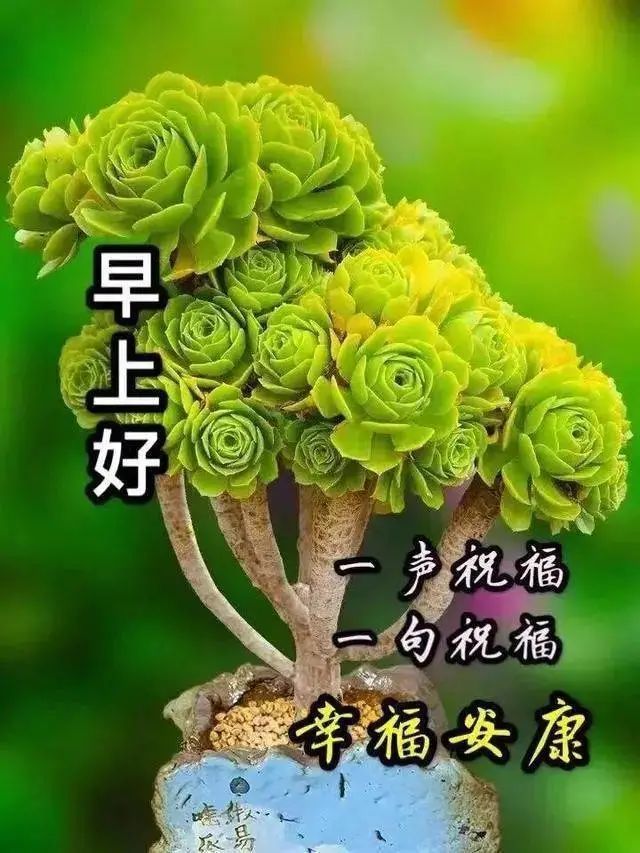 早上好朋友最美早安问候语表情图片最新漂亮早上好表情动态图