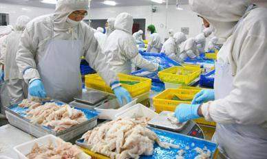 十大菜板品牌排行_全球刹车片10大品牌排行榜,要换刹车片照着买就行!(2)