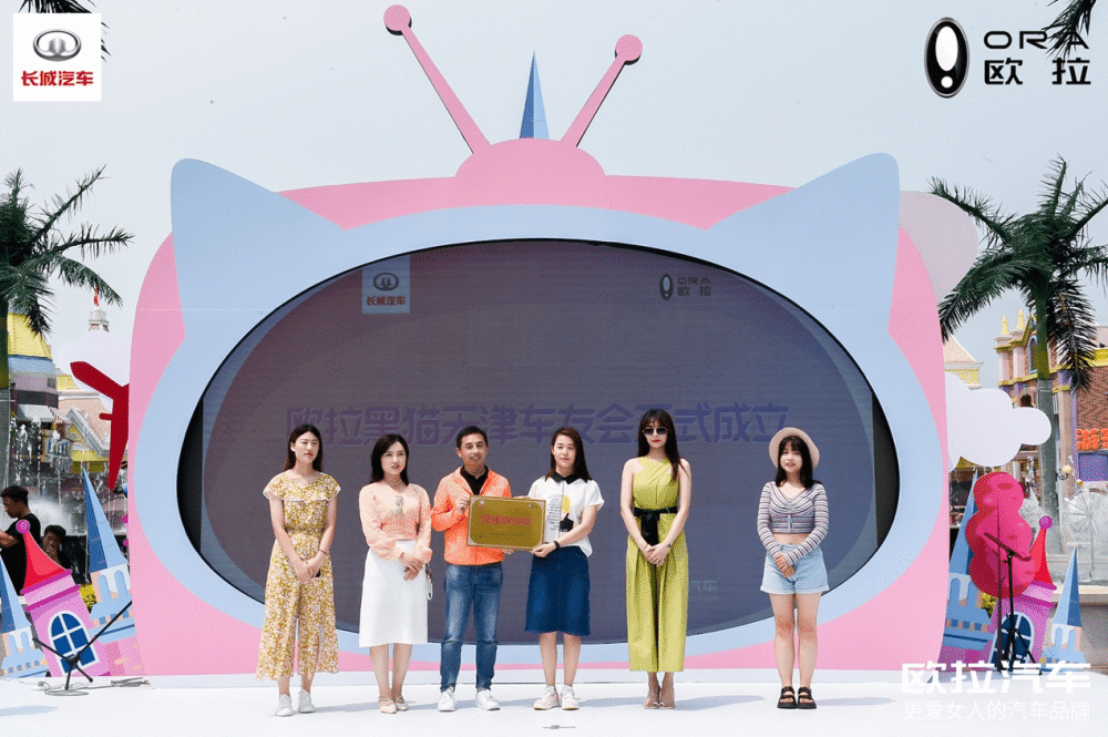 欢乐同行，趣萌一夏，黑猫“喵星颜究院”正式官宣