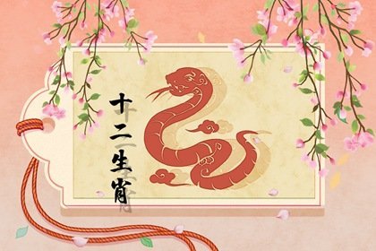 属蛇的2021年8月桃花运怎么样