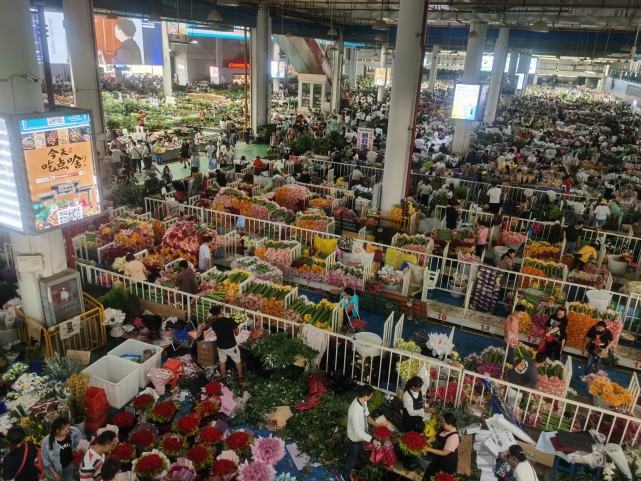 斗南花卉市场2021年上半年鲜切花交易量31亿枝