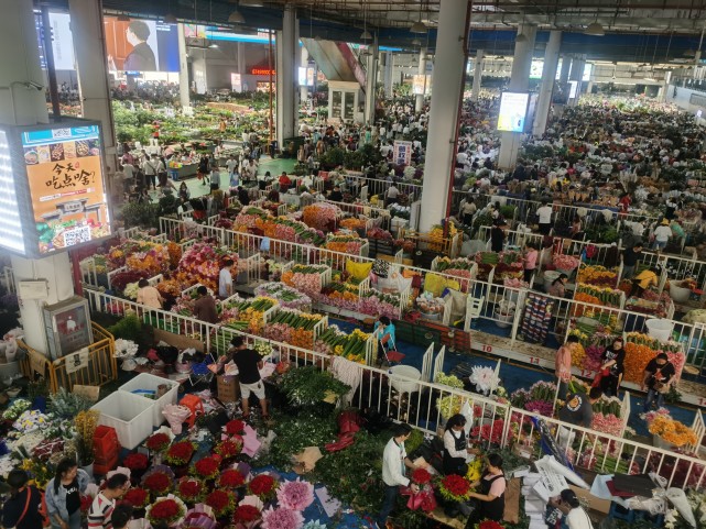 昨日,记者从云南斗南花卉产业集团获悉:今年上半年,斗南花卉市场鲜