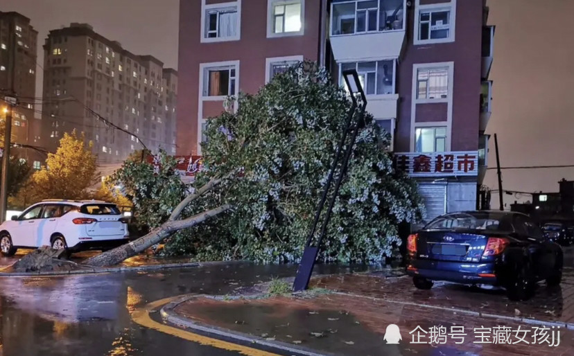 台风排行榜_十大最恐怖台风排名:“约翰”上榜,第十综合情况最强烈