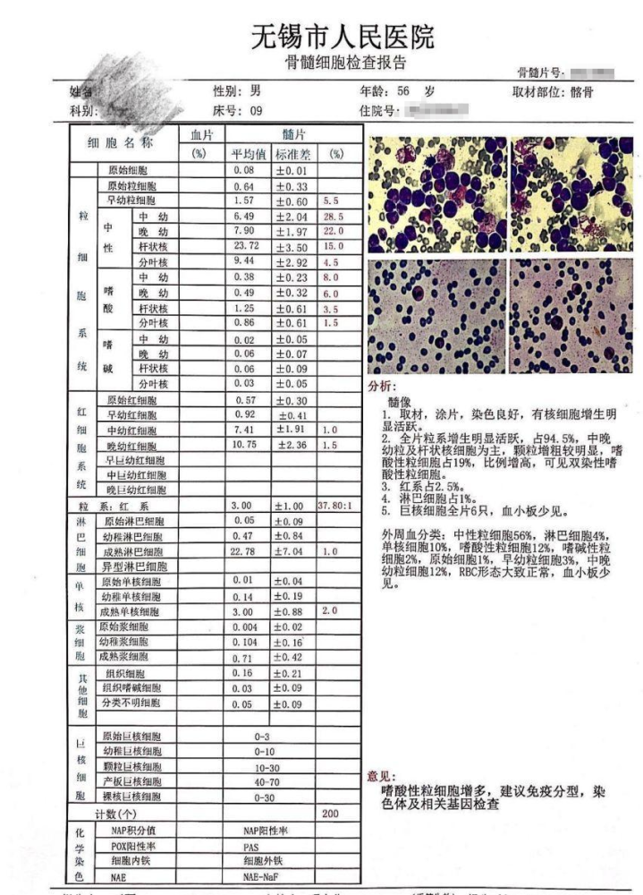 天網恢恢疏而不漏幕後兇手現形記