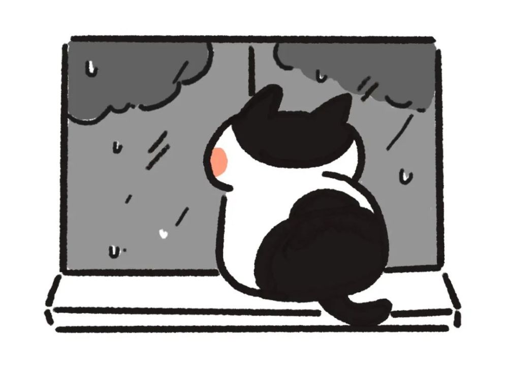 小猫咪喜欢下雨吗?答案竟然是