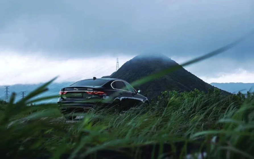 它对世界抱有好奇的样子，和我挺像的