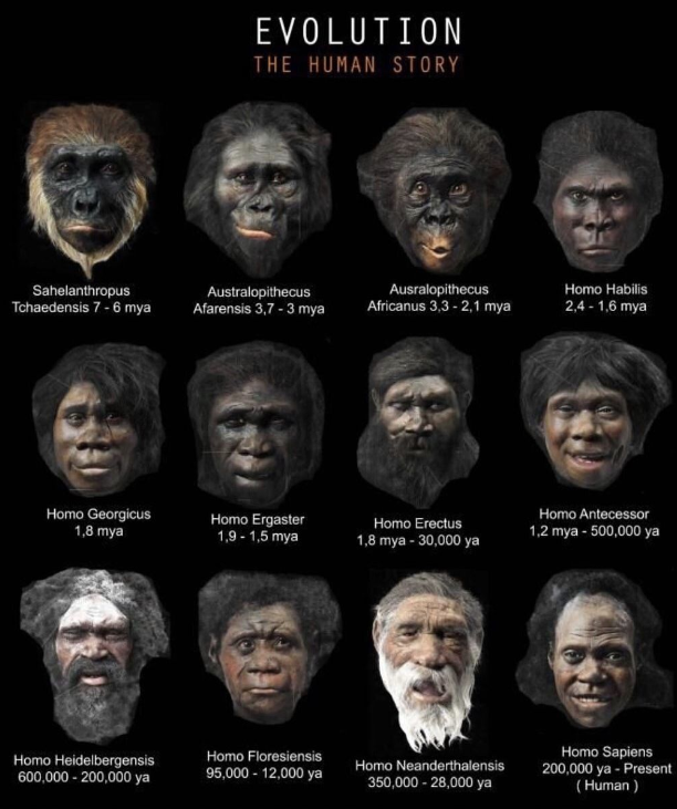 黄种人白种人和黑种人为什么能自由混血他们之间不存在生殖隔离吗