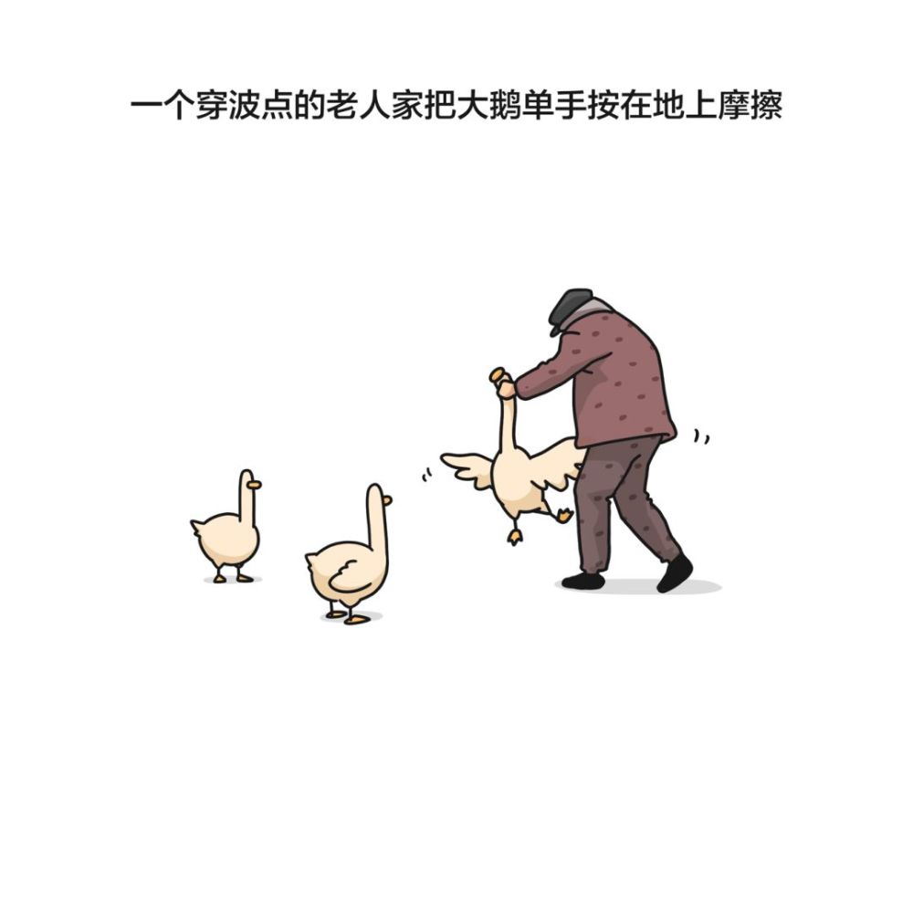 奇葩漫画呆头鹅一点都不圆润盘它