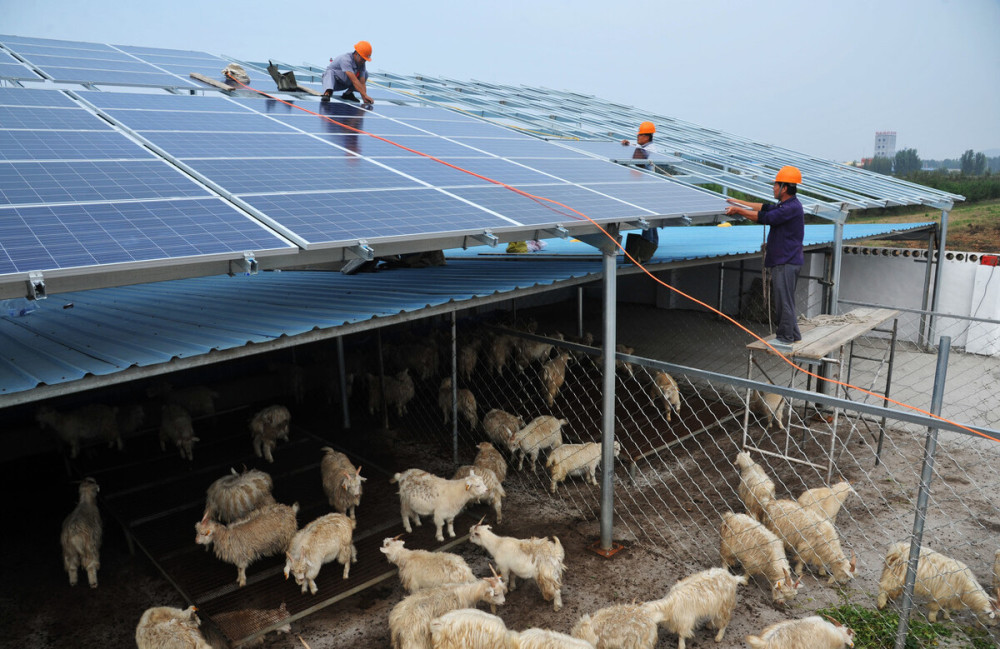 光伏应用于农业,大棚种植,畜牧养殖,休闲农业都是如何盈利的?