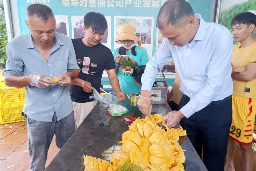 雷州市有多少人口_湛江遂溪县各镇人口一览:一个镇高达二十万人,最低仅为一