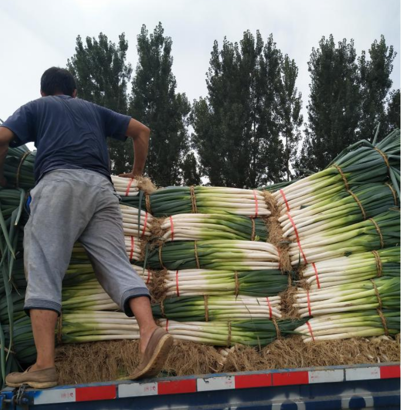 李祥宁雨夜我那捆大葱的父亲母亲