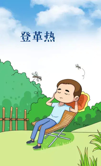 图文知识登革热的预防
