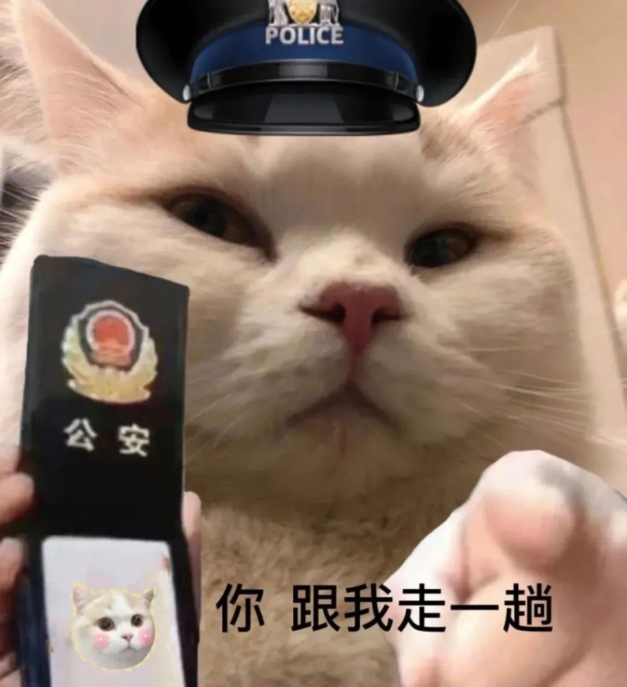 猫猫狗狗界的警官表情包第一期公安小猫咪狗狗表情包