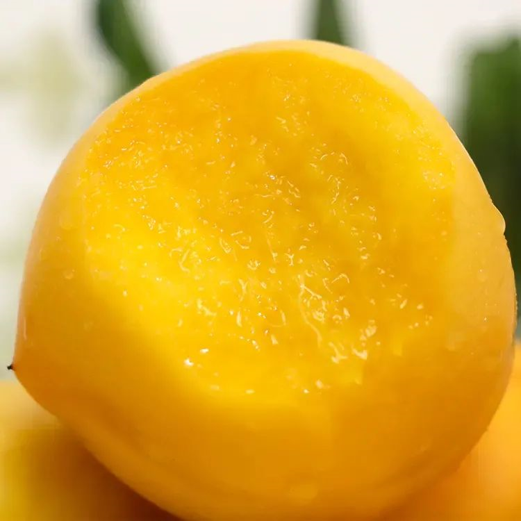 9元石阡大沙坝黄桃5斤装,现摘现发,脆甜爽滑又多汁!