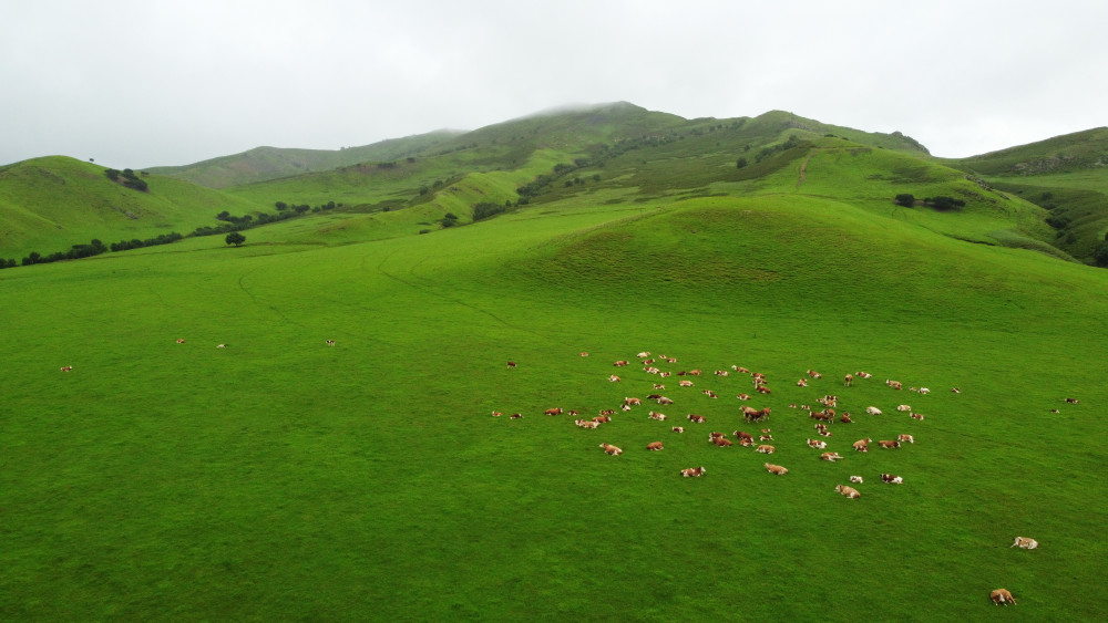 美丽中国夏日乌兰毛都草原