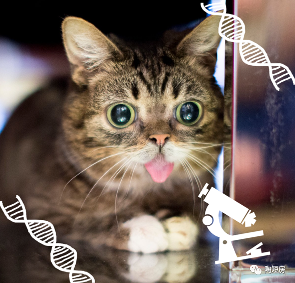 科幻文学影视化的机遇与挑战