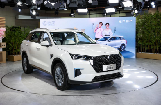 2021款启辰星：女王的座驾我包了