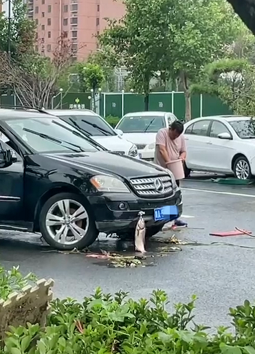 河南抽水后，一台奔驰SUV显现出来，车头处还多了一条“包头鱼”